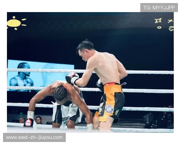 国际拳击裁判在培训中采用跨国交流与案例研讨提升执法水平，国际拳击组织ibo